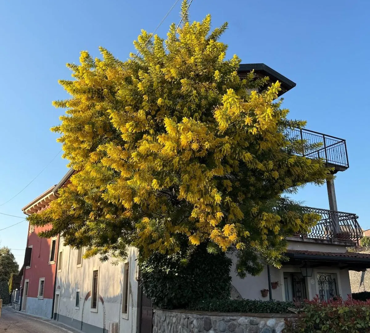 Alle Albere - Verona - Bussolengo